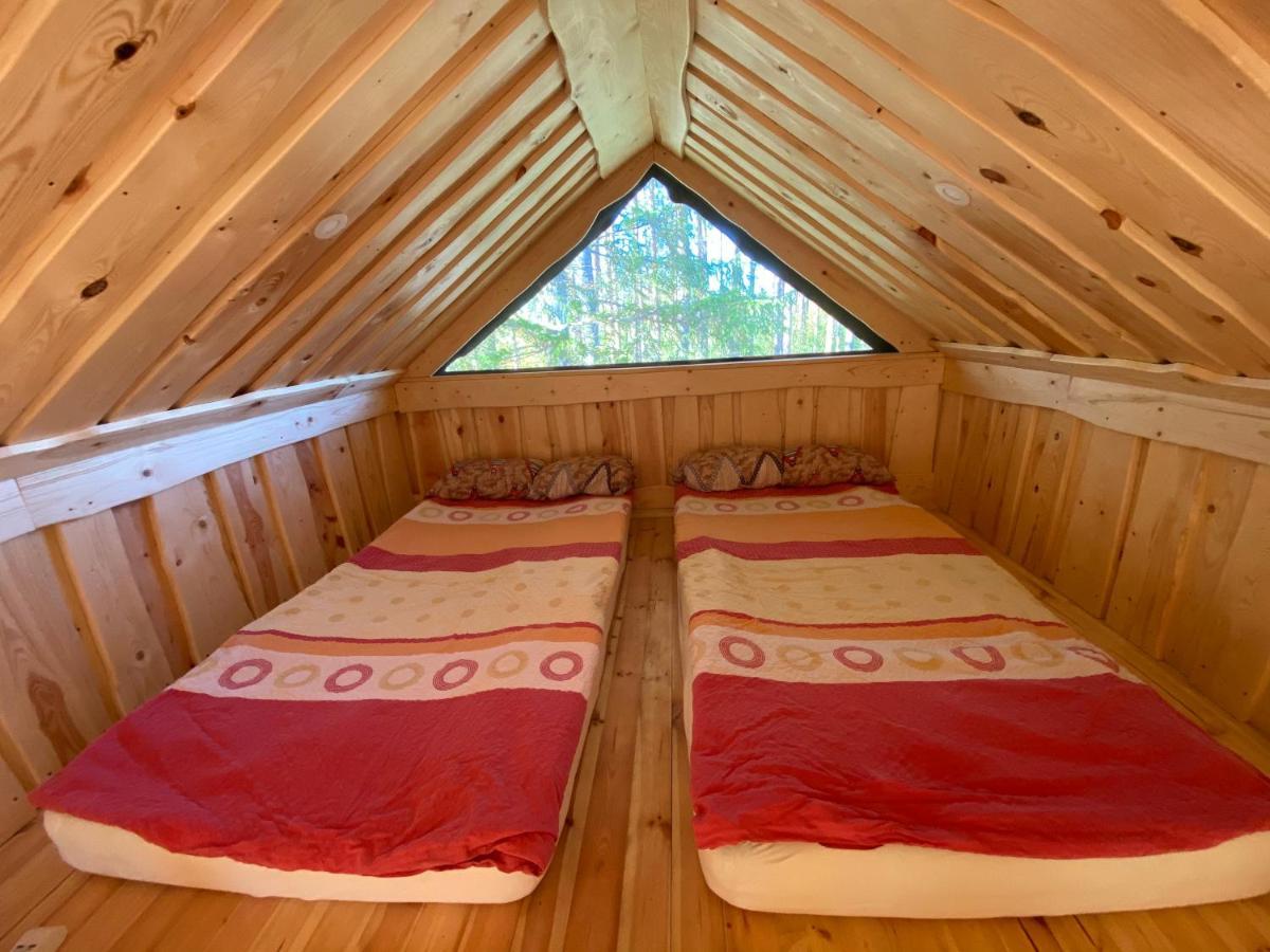 Viking House In The Tree! Jacuzzi, Sauna,Apkure! Lici  Exterior foto